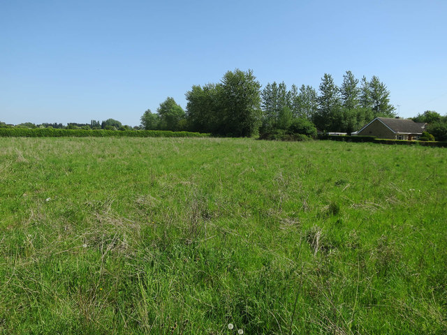 Field in Willingham