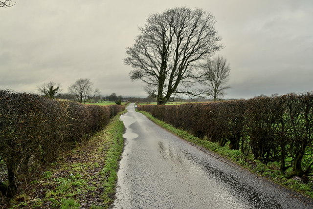 Wet along Dryarch Road