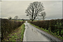 H5170 : Wet along Dryarch Road by Kenneth  Allen