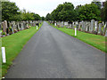 Ayr Cemetery