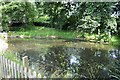 Pond by Stour and Orwell Walk