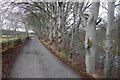 An old road up Strath Ardle