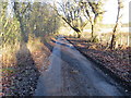 NT6426 : Minor road beside Pond Wood by Peter Wood