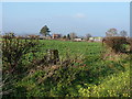 Oakhouse Farm trig