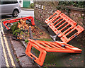 Tree stump, Parkhurst Road, Torquay