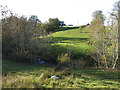 Farmland around Ireshope Burn