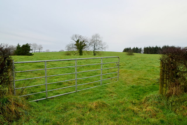 An open gate. Lisboy