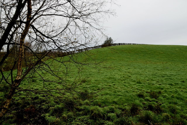 A low hill, Donaghanie