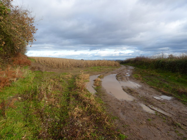 Arable field next to the disused railway near Snipe Hill, Sedbury