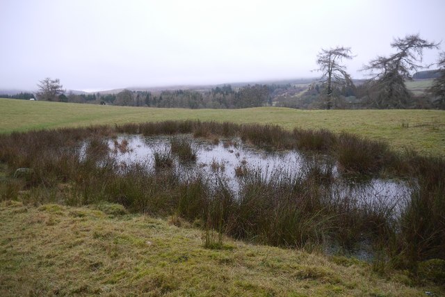 Pond, Dalreoch