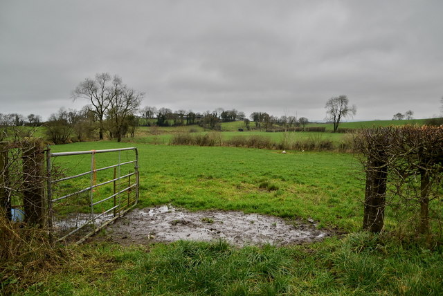 An open field, Donaghanie
