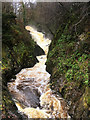 SD6974 : Ingleton Waterfalls Trail, Pecca Lower Falls by David Dixon