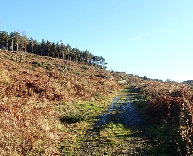 Track ascending the western foothills of Slieve Gullion