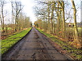 Tree-lined minor road approaching Sweethope