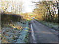 Hedge and tree-lined minor road with frosty verges heading towards Sweethope