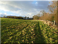 Path across grassland towards East Carlton