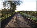 NT7143 : Minor road beside Todrig Covert by Peter Wood