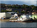 Sea Griffon in Camperdown Dock