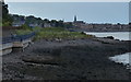 Firth of Tay shoreline at West Ferry