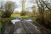 H5371 : Muddy lane, Bancran by Kenneth  Allen