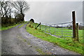 A steep lane, Bancran