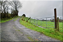 H5371 : A steep lane, Bancran by Kenneth  Allen