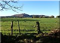 J0217 : Grazing land west of the Cloghinny Road by Eric Jones