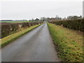 Hedge-lined minor road heading towards Mersington