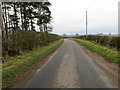 Hedge-lined minor road heading towards Homebank