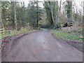 Minor road leading to Hownam Grange