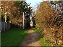 SK3738 : Old line of Porter's Lane by Ian Calderwood