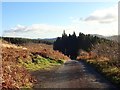 Approaching the junction with an unnamed local access road