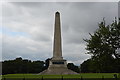 O1334 : Wellington Monument, Phoenix Park by N Chadwick