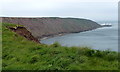 TA1281 : Filey Brigg at the northern end of Filey Bay by Mat Fascione