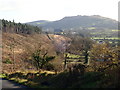 The SE lobe of the Slieve Gullion 