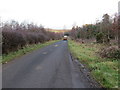 Minor road beside Woodhouse Roadside Plantations