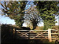 Gated track near Common Farm