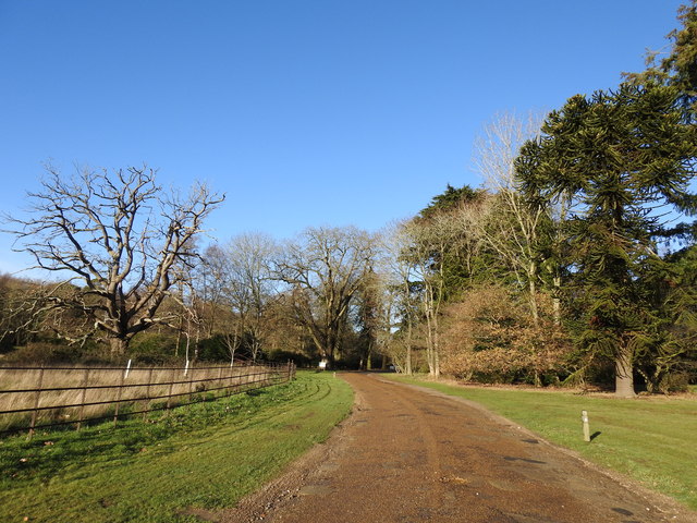 Entrance drive to Colney Hall
