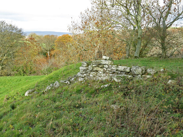 Cotherstone Castle (remains)