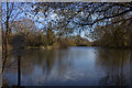 Singleton Lake from the north