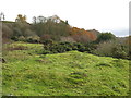 Iron Age settlement by Balder Foot (2)