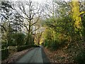 Road next to Oakfield House