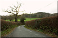 Dartmoor Way near Langaller