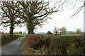 Dartmoor Way near Wilsworthy