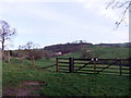 Flat Top House, Worsen Dale