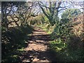 Pembrokeshire Coast Path