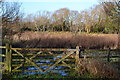 Gate into marshland