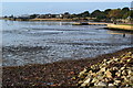 Harbour shoreline at Mudeford