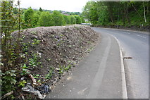 SE0623 : Holmes Road: an earth bank has replaced a stone wall by Roger Templeman