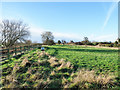 Field on north side of River Nidd